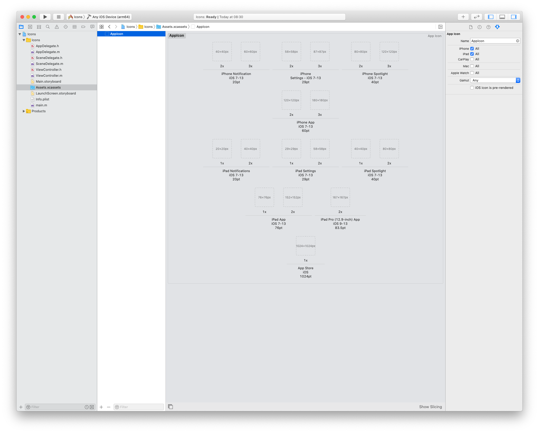 The project view